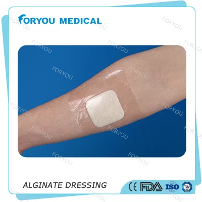Huizhou Foryou Medical 2g Almohadilla de alginato Apósito para heridas Apósito de gel de alginato Calcio